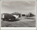 Farmer's truck driving into scale house at sugar beet dump. Adams County, Colorado