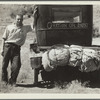 Vernon Evans (with his family) of Lemmon, South Dakota, near Missoula, Montana on Highway 10. Leaving grasshopper-ridden and drought-stricken area for a new start in Oregon or Washington