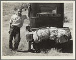 Vernon Evans (with his family) of Lemmon, South Dakota, near Missoula, Montana on Highway 10. Leaving grasshopper-ridden and drought-stricken area for a new start in Oregon or Washington