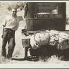 Vernon Evans (with his family) of Lemmon, South Dakota, near Missoula, Montana on Highway 10. Leaving grasshopper-ridden and drought-stricken area for a new start in Oregon or Washington