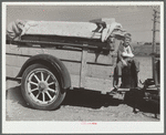 Drought refugees from North Dakota. [Montana.]