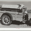 Drought refugees from North Dakota. [Montana.]