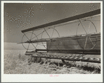 The fertile wheat fields near Ritzville, Washington