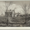 Stripped bare by the drought and grasshoppers. Trees on the farm of Mrs. Emma Knoll. Grant County, North Dakota
