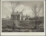 Stripped bare by the drought and grasshoppers. Trees on the farm of Mrs. Emma Knoll. Grant County, North Dakota