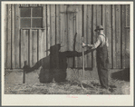 Farm scene. Bickleton, Washington