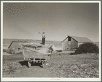 Barnyard scene of farm near Bickleton, Washington