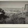 Erosion on farm near Bickleton, Washington