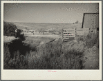 Erosion on farm near Bickleton, Washington