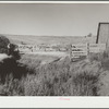 Erosion on farm near Bickleton, Washington