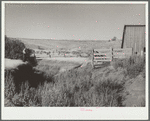 Erosion on farm near Bickleton, Washington