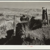 Gully on farm near Bickleton, Washington. (Note how ground under fence post has been washed away)
