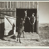 Scene on wheat farm near Bickleton, Washington