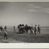 Drought relief crew building a road near Saint Anthony, North Dakota