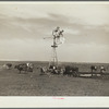 Rapidly drying waterholes cover the North Dakota ranges