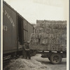 Unloading hay. Dickinson, North Dakota