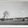 Farm. Lancaster County, Pennsylvania