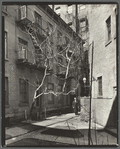 Milligan Place