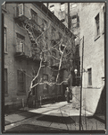 Milligan Place