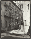 Milligan Place