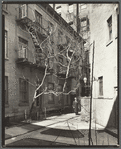 Milligan Place