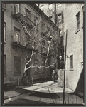 Milligan Place