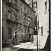 Milligan Place