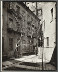 Milligan Place