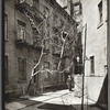 Milligan Place