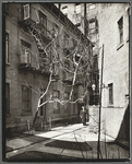 Milligan Place