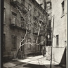 Milligan Place