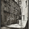 Milligan Place