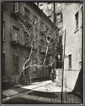 Milligan Place