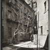 Milligan Place