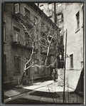 Milligan Place