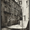 Milligan Place