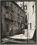 Milligan Place