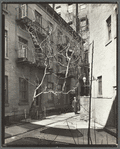 Milligan Place