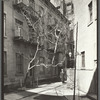 Milligan Place