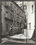 Milligan Place