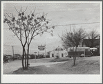 U.S. Highway 80, Texas, between Fort Worth and Dallas. Trailer park