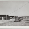 Farm workers' cars and trucks parked near shelters. FSA (Farm Security Administration) camp, Robstown, Texas