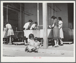 Community laundry. FSA (Farm Security Administration) camp, Robstown, Texas