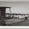 Saturday afternoon. FSA (Farm Security Administration) camp, Robstown, Texas