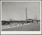 FSA (Farm Security Administration) camp, Robstown, Texas