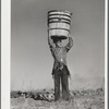 Harvesting spinach crop. Community garden, FSA (Farm Security Administration) camp, Robstown, Texas