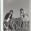 Girl spinach pickers. Large farm near Robstown, Texas