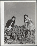 Girl spinach pickers. Large farm near Robstown, Texas