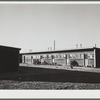 Row shelters. Robstown, Texas. FSA (Farm Security Administration) camp