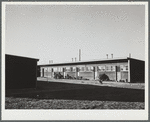 Row shelters. Robstown, Texas. FSA (Farm Security Administration) camp
